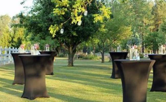 Outdoor event setting with high tables draped in black cloths and lantern centerpieces, surrounded by a lush green lawn and a tree with hanging decor.