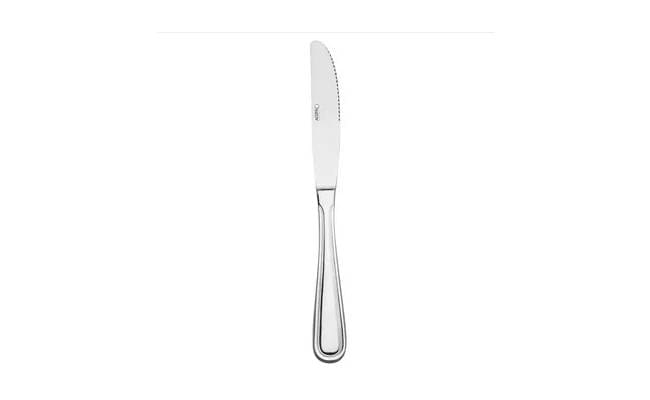 A stainless steel dinner knife with a serrated edge and an elongated oval handle, isolated on a white background.