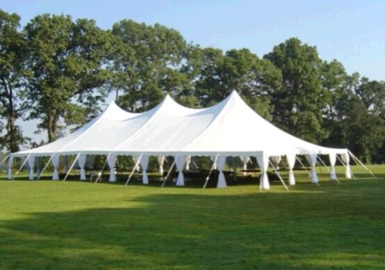 pole drapes, portable fencing, barricades, trash cans, fire extinguishers, wedding arch,